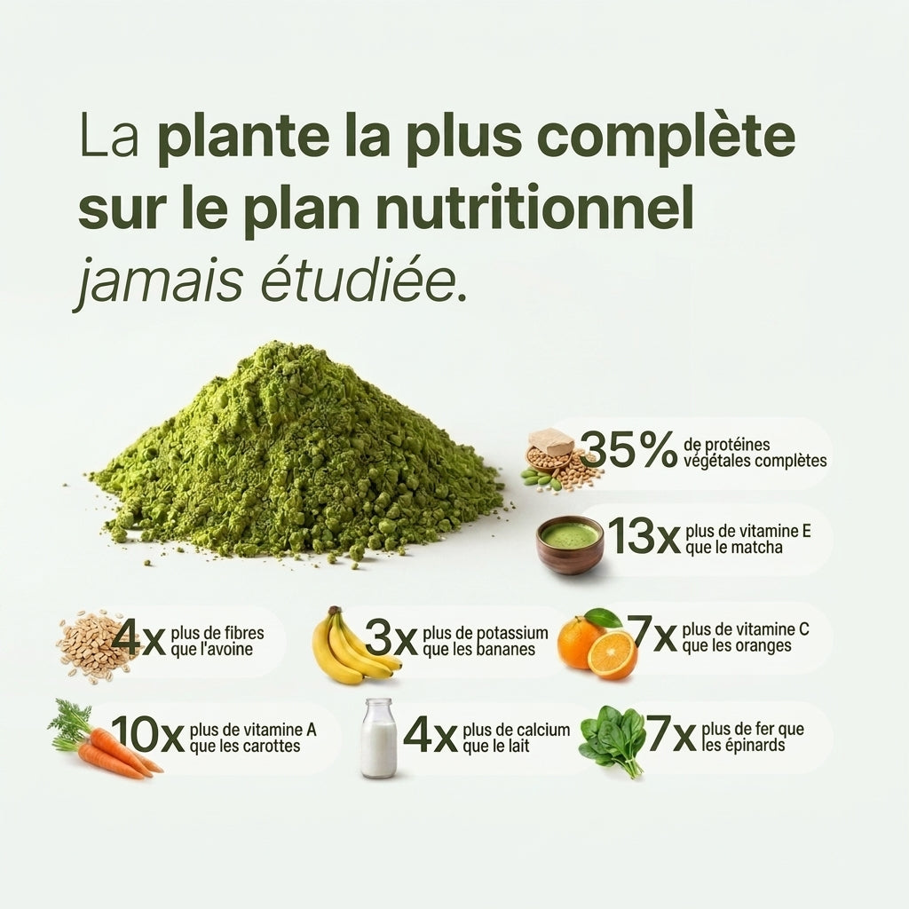 Poudre de Moringa / Baobab